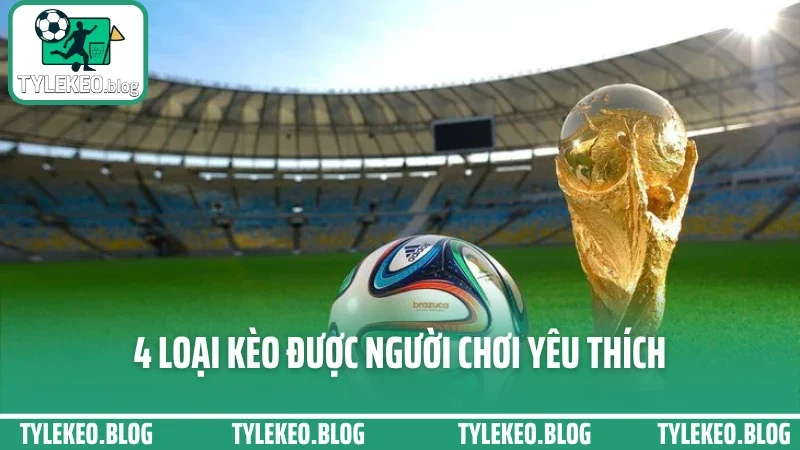 Mẹo soi kèo hôm nay - cách đọc biến động odds trước giờ bóng lăn 2 4 loại kèo được người chơi yêu thích
