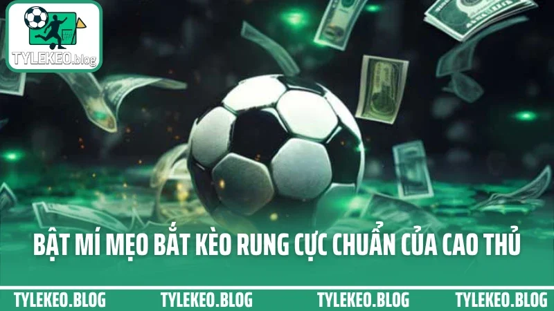 Cách bắt kèo rung - vào kèo phút 60+ không gãy, không hoang mang 4 Bật mí mẹo bắt kèo rung cực chuẩn của cao thủ