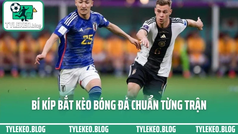Cá cược tỷ lệ kèo bóng đá - cách đọc odds để chọn cửa không lệch 5 Bí kíp bắt kèo bóng đá chuẩn từng trận