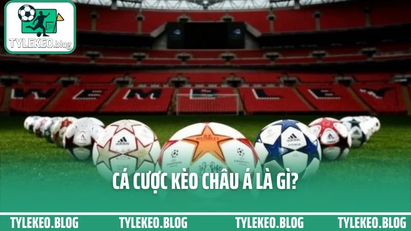 Cá cược kèo châu á - bắt kèo trên dưới chuẩn dựa vào biến động 1 Cá cược kèo châu á là gì?