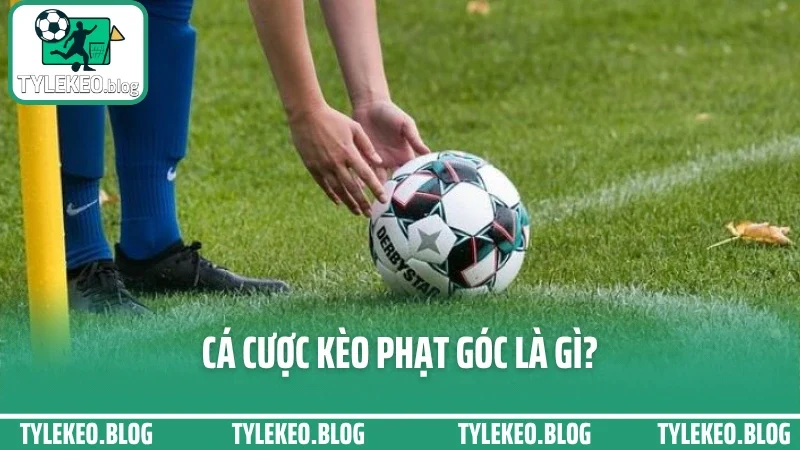 Cá cược kèo phạt góc - dựa vào lối chơi để bắt cửa tốt nhất 1 Cá cược kèo phạt góc là gì?