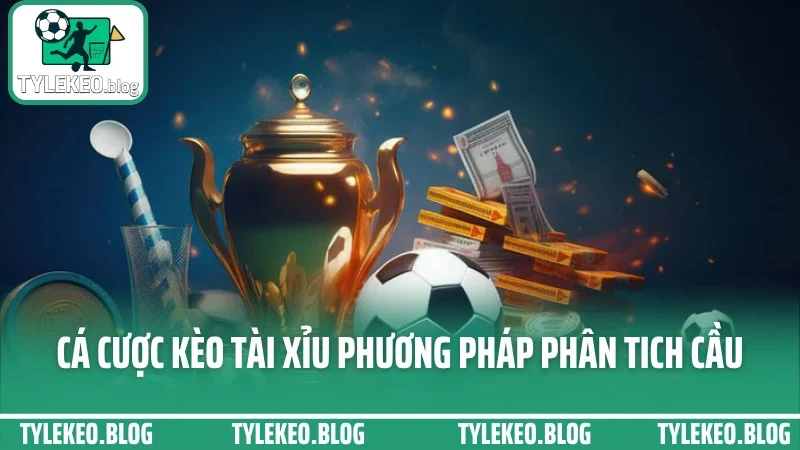Cá cược kèo tài xỉu - đọc tỷ lệ bàn thắng chuẩn nhất từng trận 4 Cá cược kèo tài xỉu phương pháp phân tich cầu ghi bàn