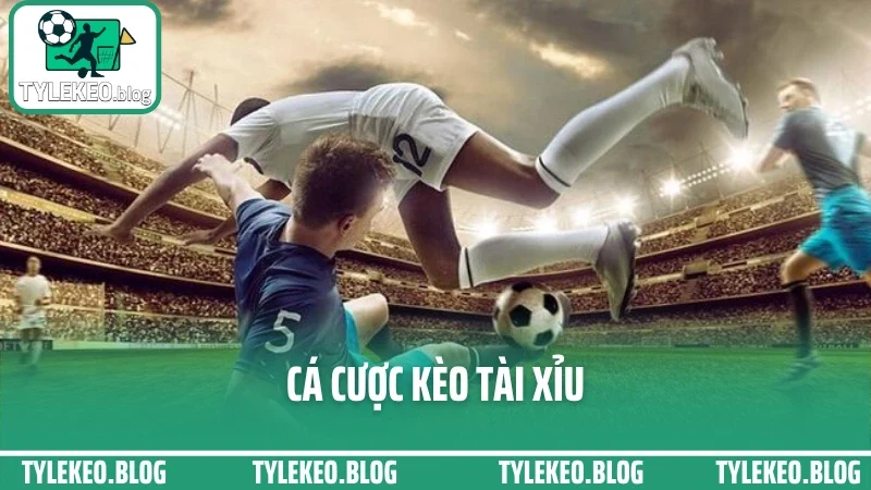 Cá Cược Kèo Tài Xỉu - Đọc Tỷ Lệ Bàn Thắng Chuẩn Nhất Từng Trận