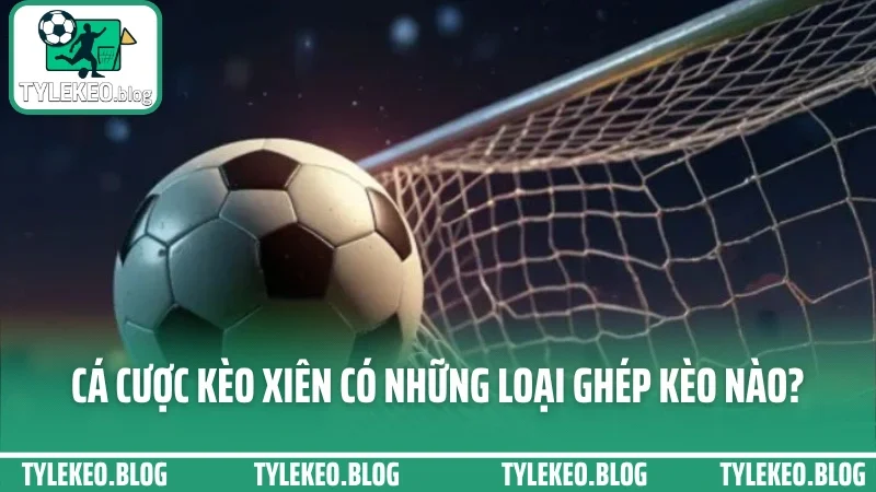 Cá cược kèo xiên - kỹ thuật ghép cược đa kèo tăng tỷ lệ ăn lớn 2 Cá cược kèo xiên có những loại ghép kèo nào?