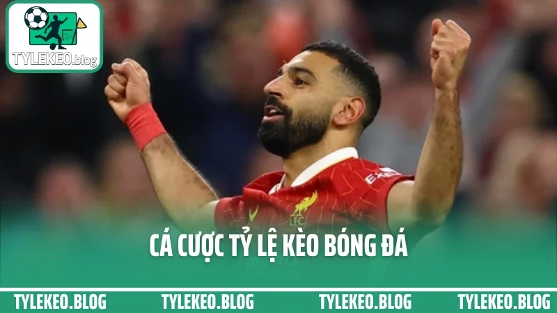 Cá Cược Tỷ Lệ Kèo Bóng Đá - Cách Đọc Odds Để Chọn Cửa Không Lệch
