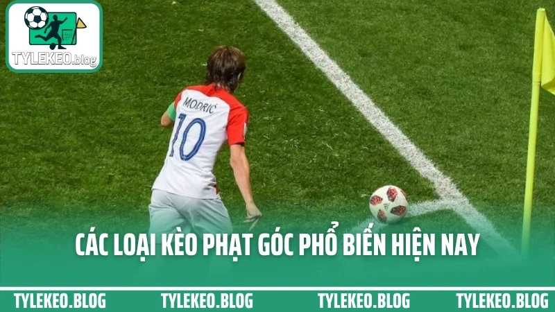 Cá cược kèo phạt góc - dựa vào lối chơi để bắt cửa tốt nhất 2 Các loại kèo phạt góc phổ biến hiện nay