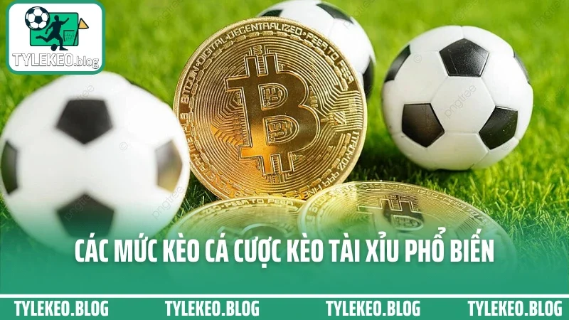Cá cược kèo tài xỉu - đọc tỷ lệ bàn thắng chuẩn nhất từng trận 2 Các mức kèo cá cược kèo tài xỉu phổ biến hiện nay
