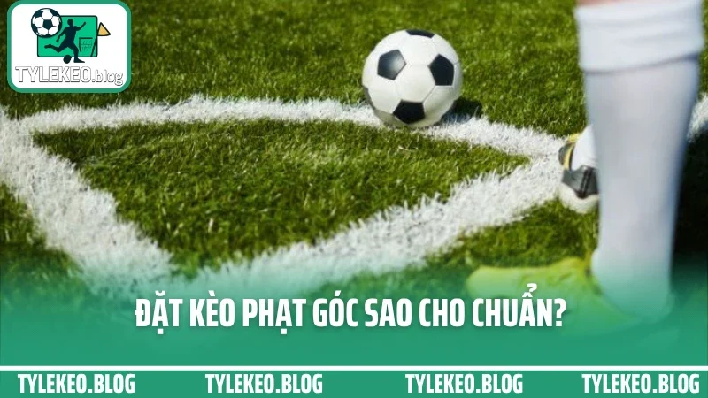 Đặt Kèo Phạt Góc Sao Cho Chuẩn? Hướng Dẫn Dành Cho Tân Thủ 2025