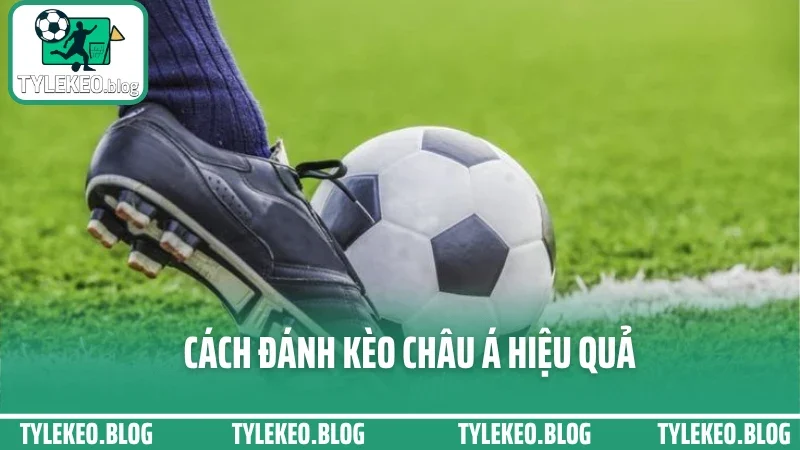 Cách Đánh Kèo Châu Á Không Cháy – Kinh Nghiệm Tránh Kèo Dụ Nhà Cái