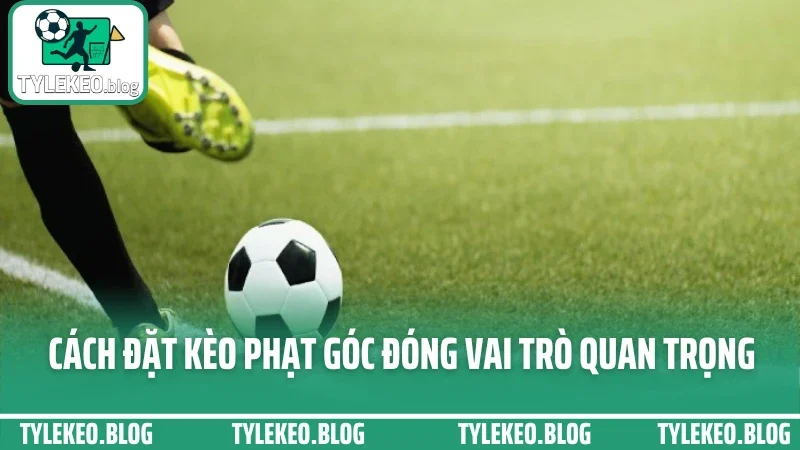 Cách đặt kèo phạt góc - cược theo chỉ số tấn công siêu hiệu quả 1 Cách đặt kèo phạt góc đóng vai trò quan trọng