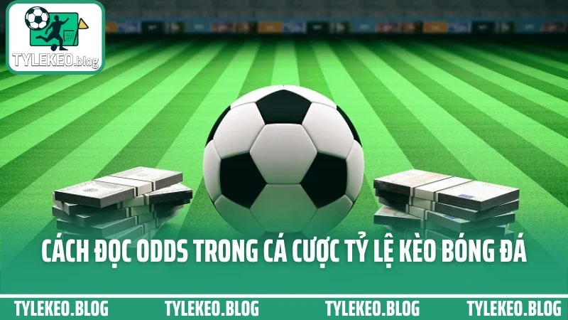 Cá cược tỷ lệ kèo bóng đá - cách đọc odds để chọn cửa không lệch 3 Cách đọc odds trong cá cược tỷ lệ kèo bóng đá