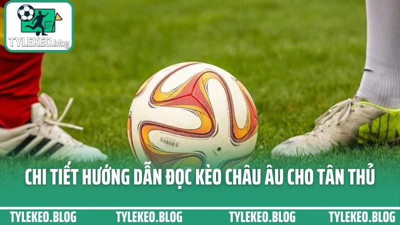 Hướng dẫn đọc kèo châu âu (1x2) – tránh kèo dụ khi chơi tại sv88 2 Chi tiết hướng dẫn đọc kèo châu âu cho tân thủ