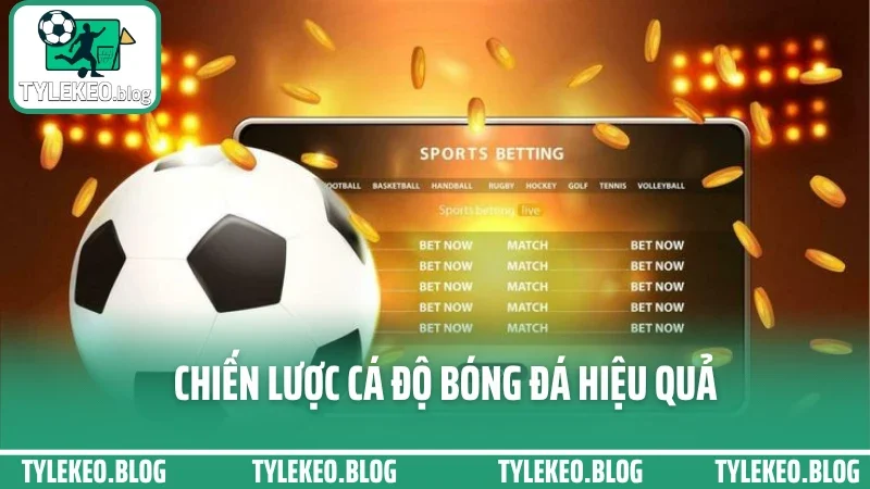 Kinh nghiệm cá cược bóng đá từ dân chuyên – tránh cháy tài khoản ngu ngốc 4 Chiến lược cá độ bóng đá hiệu quả