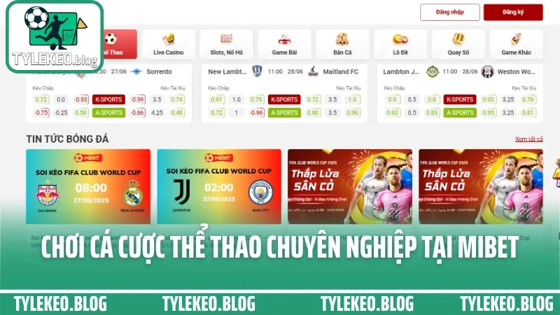 Mibet - trải nghiệm cá cược theo giải với tốc độ siêu mượt 5 Chơi cá cược thể thao chuyên nghiệp tại mibet
