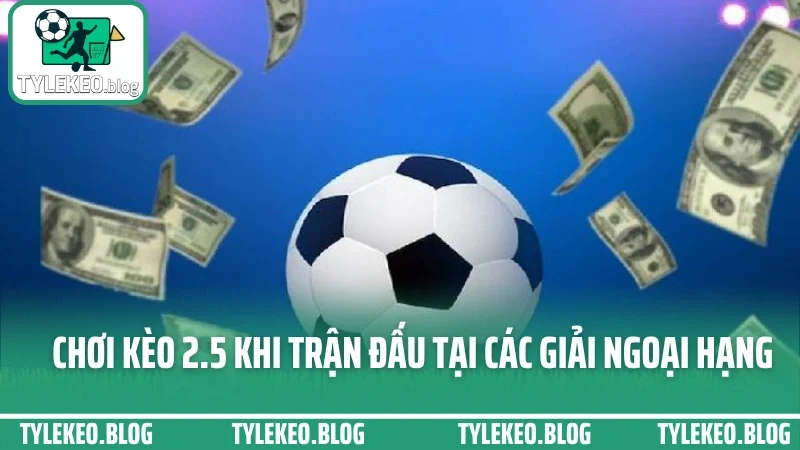 Cá cược kèo tài xỉu - đọc tỷ lệ bàn thắng chuẩn nhất từng trận 3 Chơi kèo 2. 5 khi trận đấu tại các giải ngoại hạng