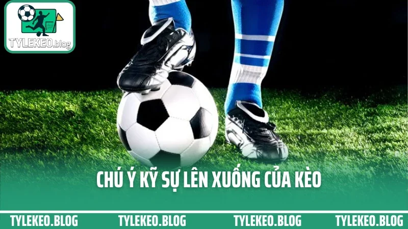 Cách đánh kèo châu á hiệu quả - chọn cửa trên dưới không dựa may rủi 4 Chú ý kỹ sự lên xuống của kèo