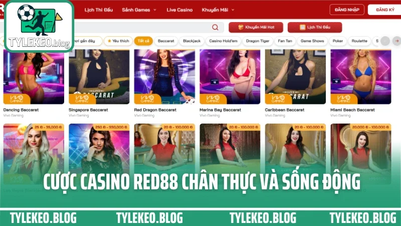 Red88 - đặt cược thoải mái, rút tiền nhanh và không bị treo lệnh 6 Cược casino red88 chân thực và sống động