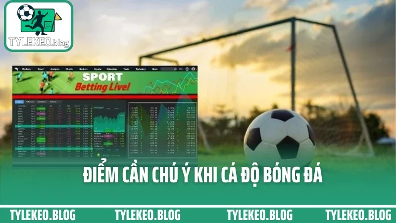Kinh nghiệm cá cược bóng đá từ dân chuyên – tránh cháy tài khoản ngu ngốc 5 Điểm cần chú ý khi cá độ bóng đá