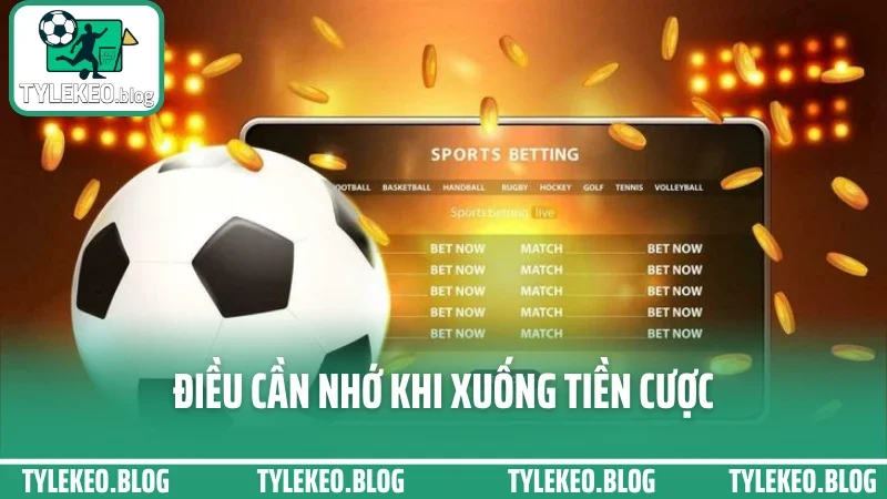 Mẹo cược tài xỉu - canh chỉ số bàn thắng để bắt cửa dưới lợi hại 5 Điều cần nhớ khi xuống tiền cược