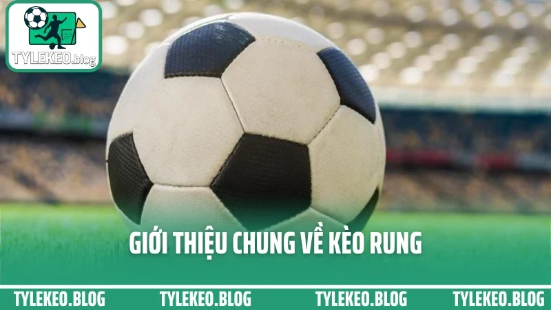 Top mẹo cược kèo rung phút cuối – ăn trọn sóng không lo hụt 1 Giới thiệu chung về kèo rung