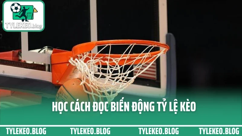 Mẹo cược bóng rổ tài xỉu - đọc nhịp ghi điểm chuẩn từng quý trận 4 Học cách đọc biến động tỷ lệ kèo