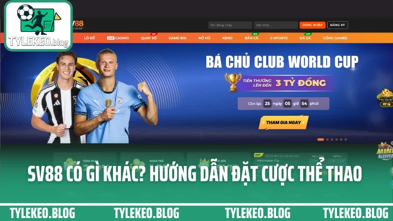 SV88 Có Gì Khác? Hướng Dẫn Đặt Cược Thể Thao Cho Người Mới 2025