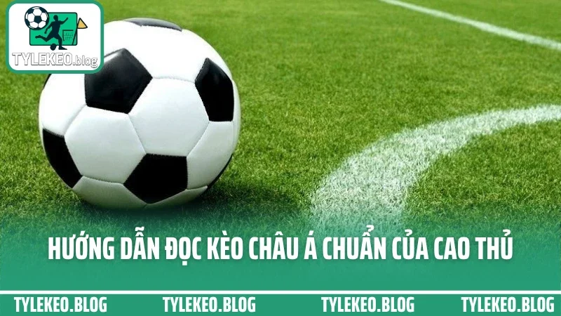 Hướng dẫn đọc kèo châu á - phân tích odds chuẩn không bị kèo dụ 2 Hướng dẫn đọc kèo châu á chuẩn của cao thủ