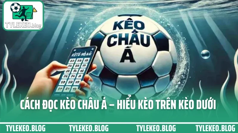 Cách Đọc Kèo Châu Á – Hiểu Kèo Trên Kèo Dưới Trước Khi Bắt Kèo Five88