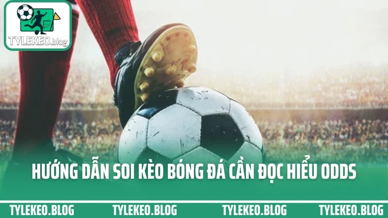 Hướng dẫn soi kèo bóng đá - nhận diện cửa thắng dựa trên biến động 2 Hướng dẫn soi kèo bóng đá cần đọc hiểu odds