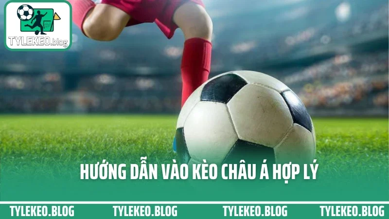 Cách đánh kèo châu á hiệu quả - chọn cửa trên dưới không dựa may rủi 3 Hướng dẫn vào kèo châu á hợp lý