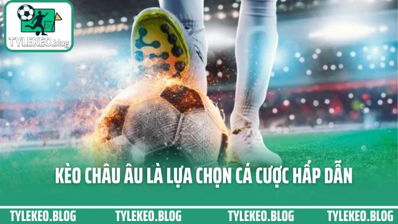 Kinh nghiệm soi kèo ngoại hạng anh – phân tích sâu từng trận đấu 2 Kèo châu âu là lựa chọn cá cược hấp dẫn