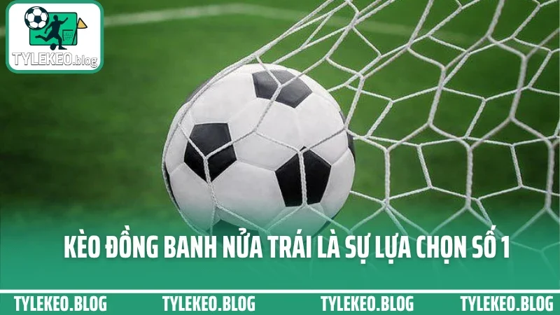 Cách đánh kèo châu á hiệu quả - chọn cửa trên dưới không dựa may rủi 2 Kèo đồng banh nửa trái là sự lựa chọn số 1
