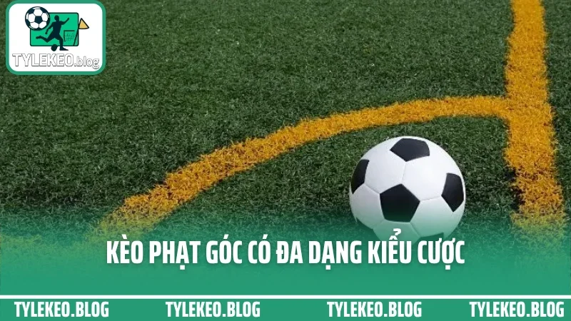Cách đặt kèo phạt góc - cược theo chỉ số tấn công siêu hiệu quả 2 Kèo phạt góc có đa dạng kiểu cược
