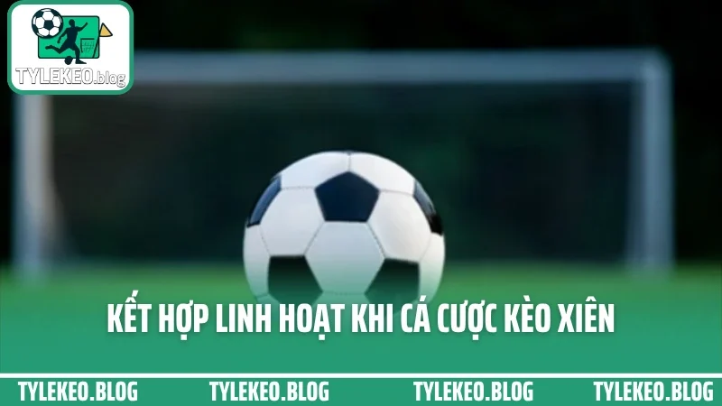 Cá cược kèo xiên - kỹ thuật ghép cược đa kèo tăng tỷ lệ ăn lớn 5 Kết hợp linh hoạt khi cá cược kèo xiên