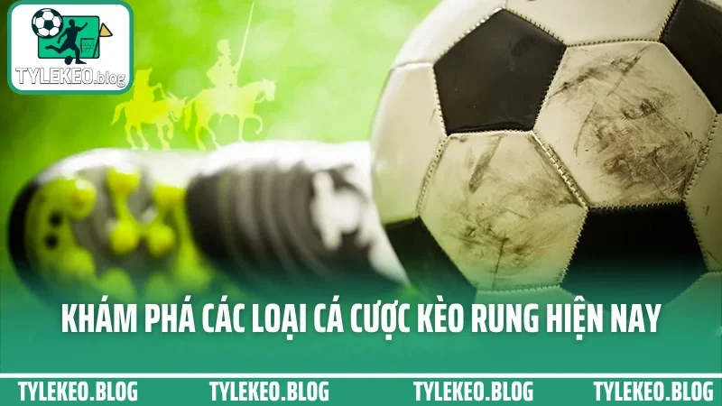 Cá cược kèo rung - cách vào tiền cuối trận không bị lật thuyền 2 Khám phá các loại cá cược kèo rung hiện nay