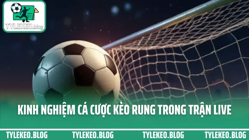 Cá cược kèo rung - cách vào tiền cuối trận không bị lật thuyền 4 Kinh nghiệm quan trọng cá cược kèo rung trong trận live