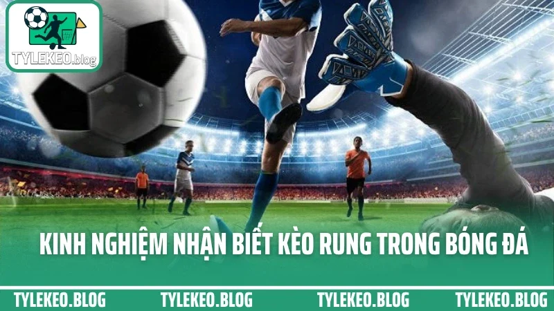 Cá cược kèo rung - cách vào tiền cuối trận không bị lật thuyền 3 Kinh nghiệm nhận biết kèo rung trong bóng đá