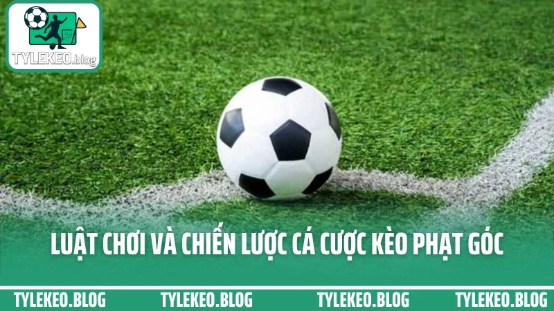 Cá cược kèo phạt góc - dựa vào lối chơi để bắt cửa tốt nhất 4 Luật chơi và chiến lược cá cược kèo phạt góc