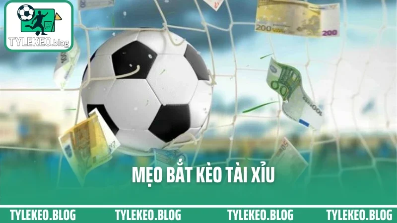 Bắt Kèo Tài Xỉu Sao Cho Chuẩn? Mẹo Xem Biến Động Kèo Trước Giờ Lăn Bóng