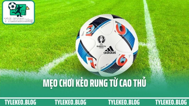 Top mẹo cược kèo rung phút cuối – ăn trọn sóng không lo hụt 2 Mẹo chơi kèo rung từ cao thủ