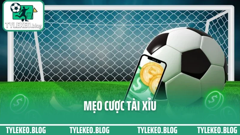 Top 5 Mẹo Đánh Tài Xỉu Không Cháy – Cứ Theo Là Có Kèo Thơm