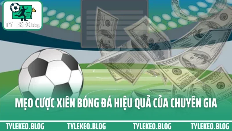 Cách chơi kèo xiên - ghép cược 2-5 kèo tối ưu hóa tỷ lệ trả thưởng 3 Mẹo cược xiên bóng đá hiệu quả của chuyên gia