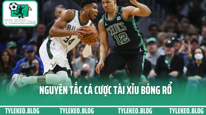 Mẹo cược bóng rổ tài xỉu - đọc nhịp ghi điểm chuẩn từng quý trận 2 Nguyên tắc cá cược tài xỉu bóng rổ