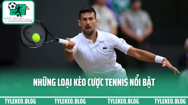 Kinh nghiệm cược tennis - bắt kèo theo set và phong độ tay vợt 2 Những loại kèo cược tennis nổi bật