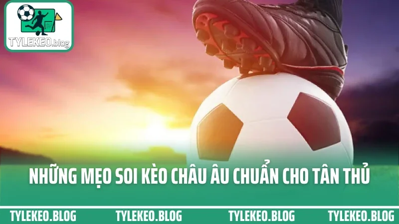 Hướng dẫn đọc kèo châu âu (1x2) – tránh kèo dụ khi chơi tại sv88 3 Những mẹo soi kèo châu âu chuẩn cho tân thủ