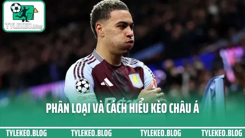 Cá cược kèo châu á - bắt kèo trên dưới chuẩn dựa vào biến động 2 Phân loại và cách hiểu kèo châu á