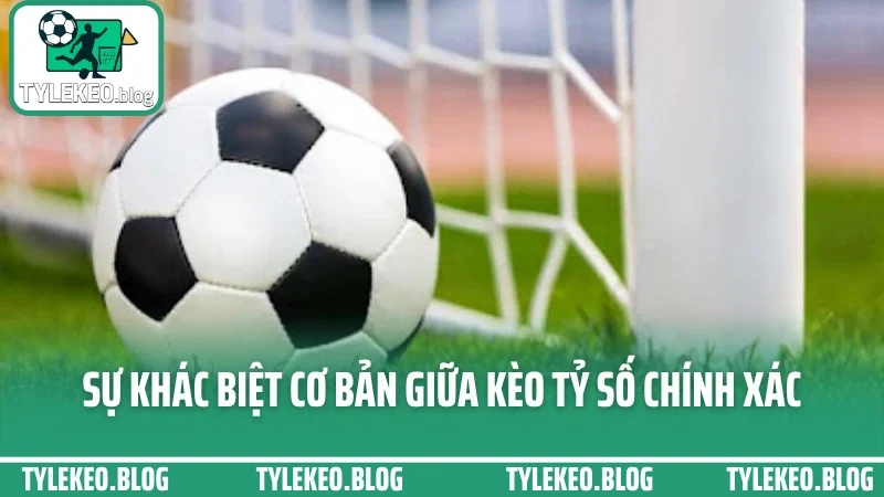 Cá cược kèo tỷ số chính xác - dự đoán tình huống ghi bàn theo diễn biến 3 Sự khác biệt cơ bản giữa kèo tỷ số chính xác và các loại kèo khác
