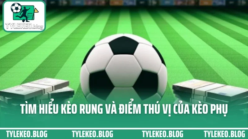 Cá cược kèo rung - cách vào tiền cuối trận không bị lật thuyền 1 Tìm hiểu kèo rung và điểm thú vị của kèo phụ