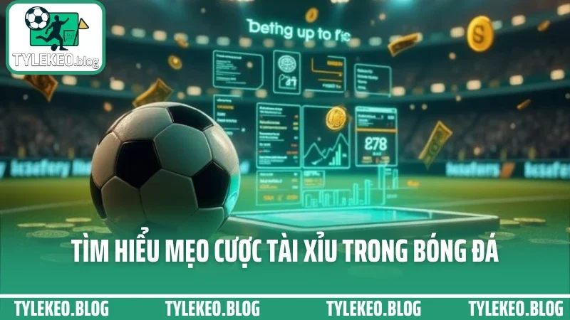 Mẹo cược tài xỉu - canh chỉ số bàn thắng để bắt cửa dưới lợi hại 1 Tìm hiểu mẹo cược tài xỉu trong bóng đá