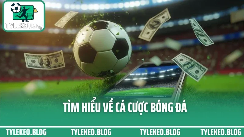 Kinh nghiệm cá cược bóng đá từ dân chuyên – tránh cháy tài khoản ngu ngốc 1 Tìm hiểu về cá cược bóng đá